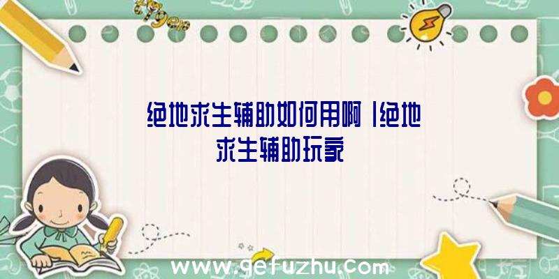 「绝地求生辅助如何用啊」|绝地求生辅助玩家